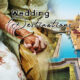 Best Wedding Destinations In India For The Year 2023