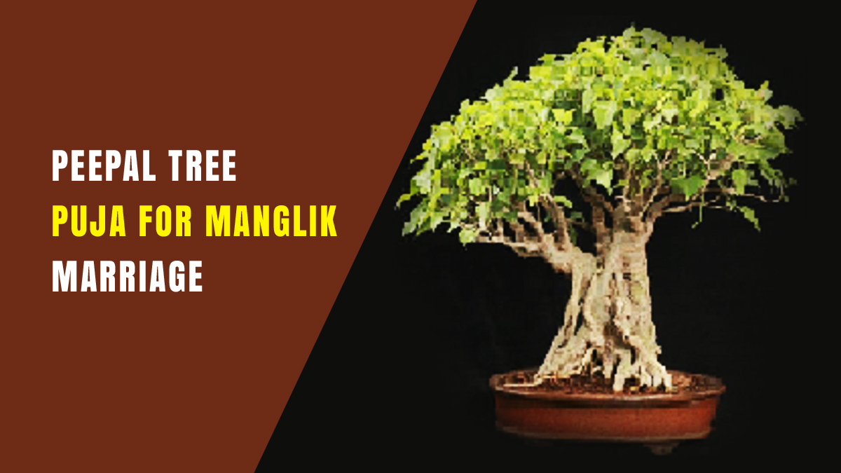 Peepal Tree Puja for Manglik Marriage